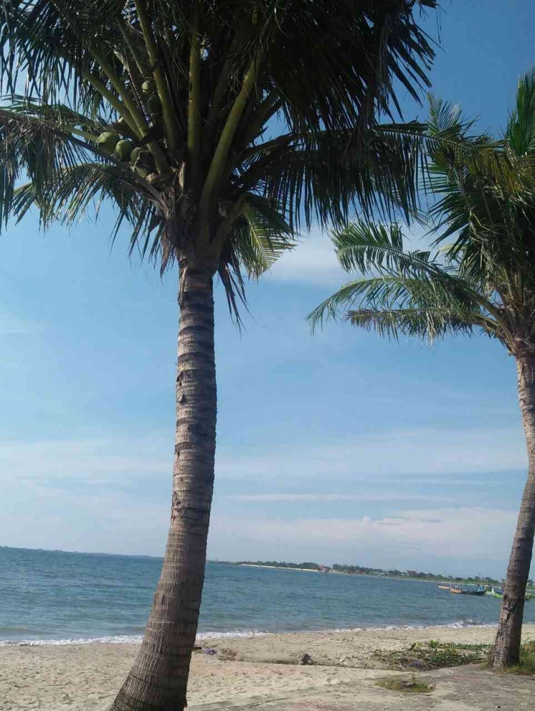 D & D Dinadino Cafe: Santai di Pinggir Pantai Cilacap
